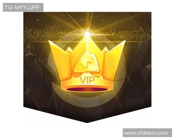 巅峰国际VIP会员特权全面解析助您尽享尊贵体验 巅峰国际VIP会员特权全面解析助您尽享尊贵体验