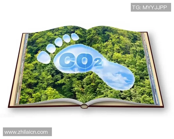 绿色电竞新风尚:探索降低线下赛事碳足迹的有效策略与实践