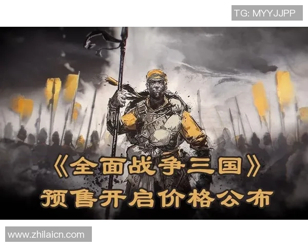 三国安保部门如何实现反恐级别与情报共享的无缝协作机制